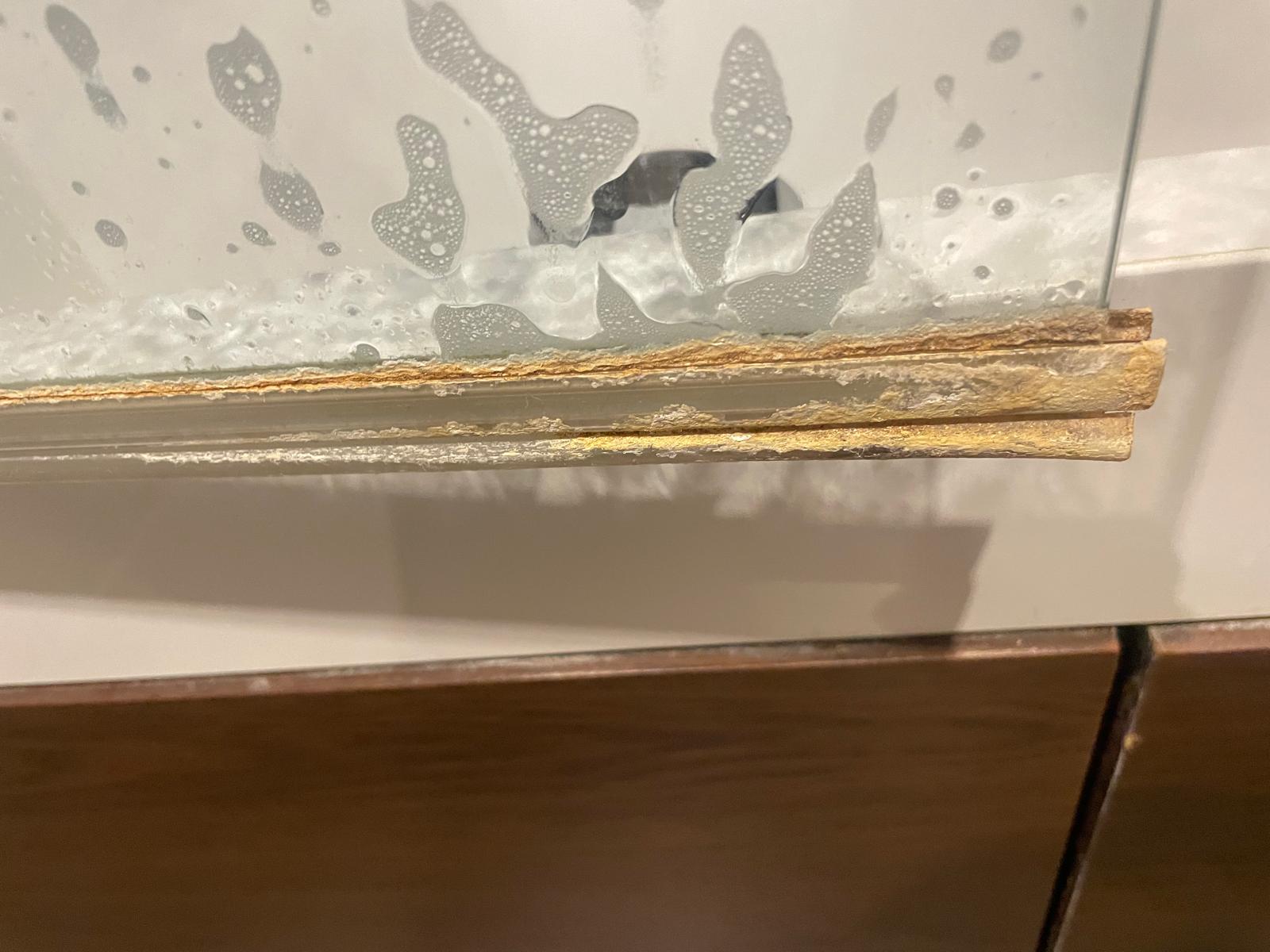 WhatsApp Image 2025-11-13 at 15.08.46_0b70f198