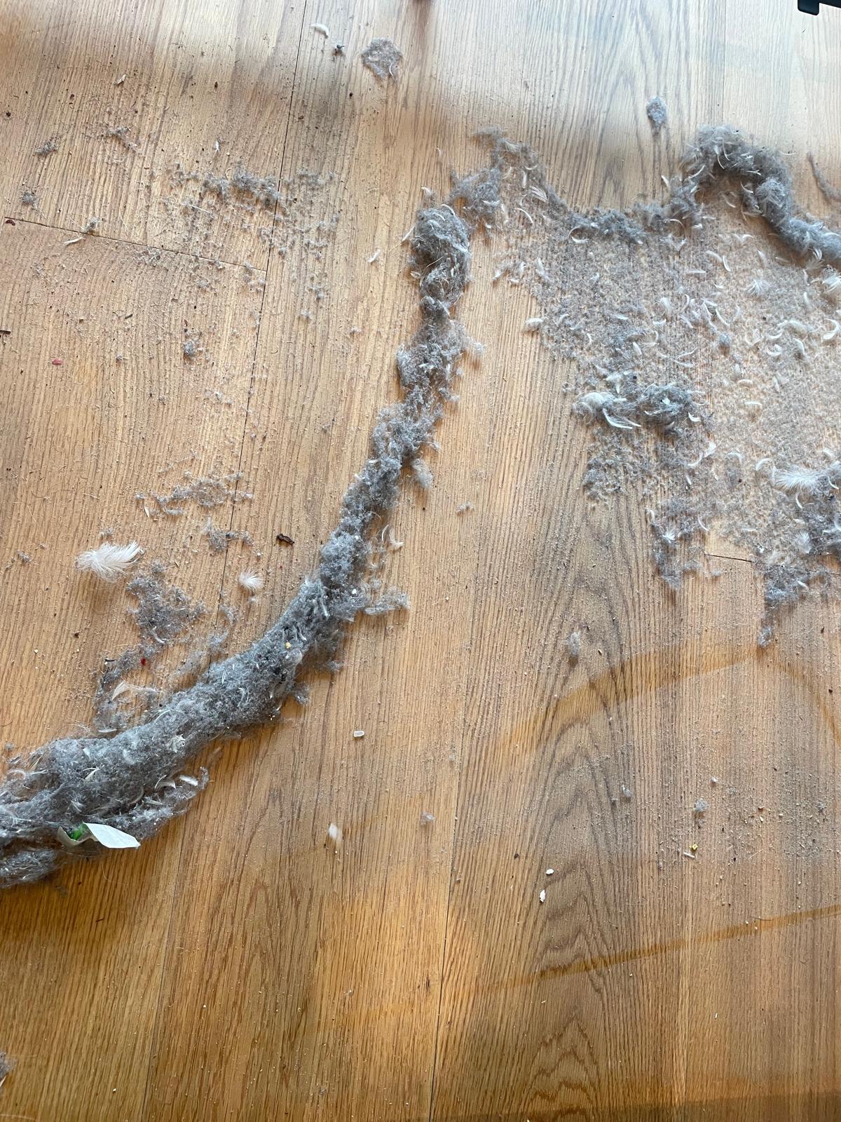 WhatsApp Image 2025-11-13 at 15.08.46_d390322e