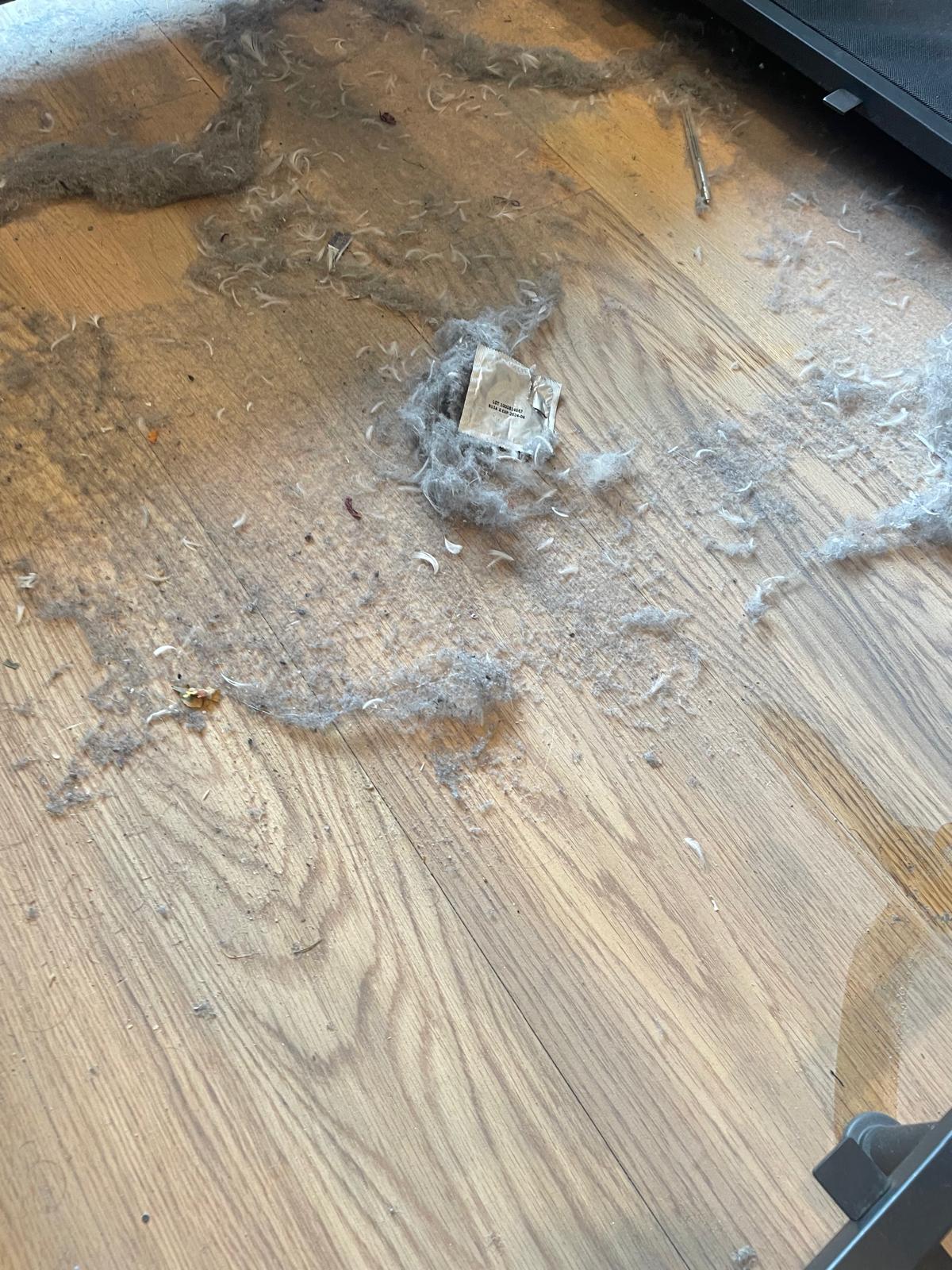 WhatsApp Image 2025-11-13 at 15.08.46_d679bbaa