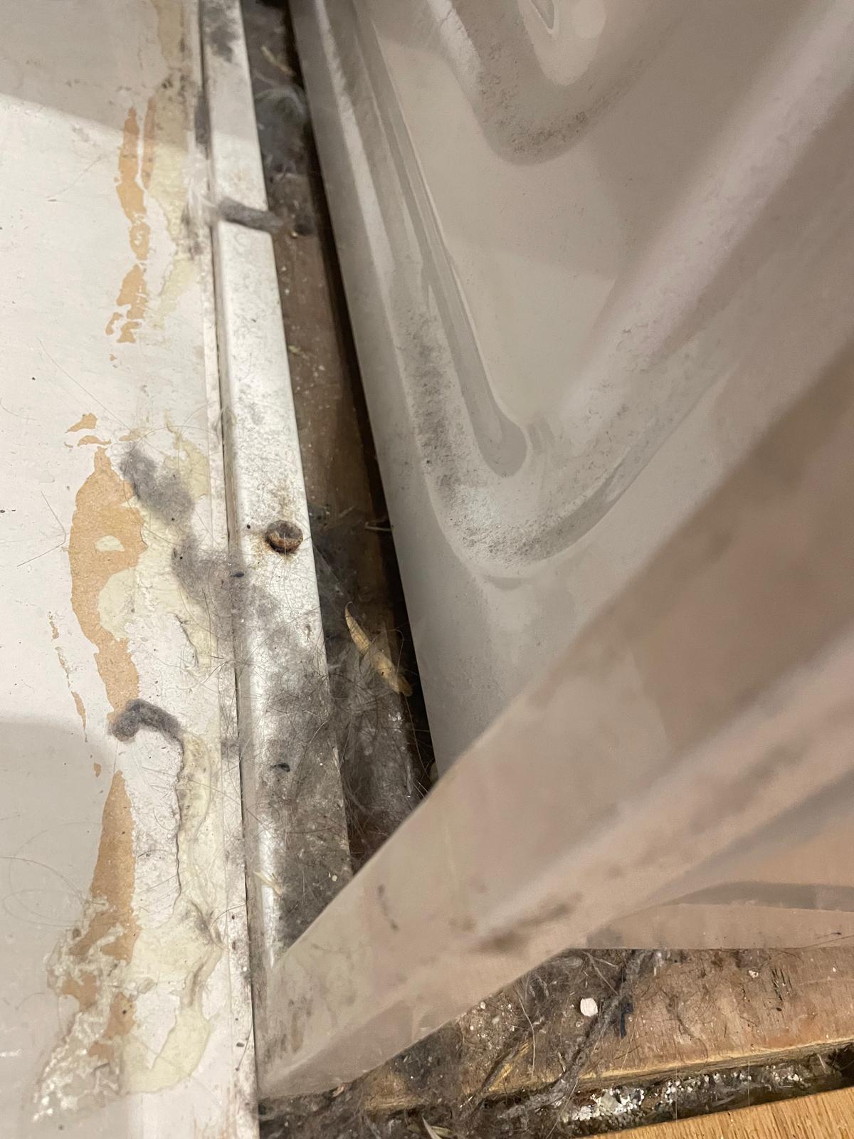 WhatsApp Image 2025-11-13 at 15.08.47_db6b0703