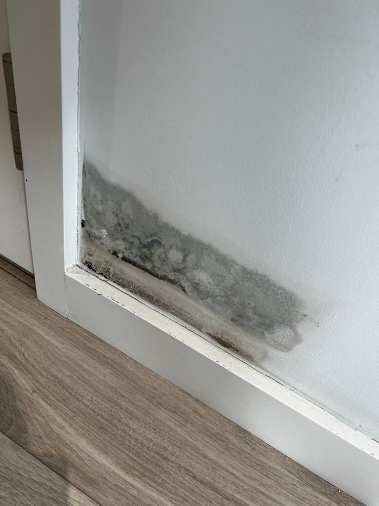 WhatsApp Image 2025-11-14 at 13.26.59_6ec6d498